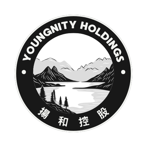 Youngnity Holdings Limited